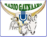radio gaynako
