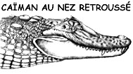 CAIMAN nez retrousse